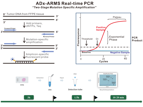 AmoyDxRealtimePCR